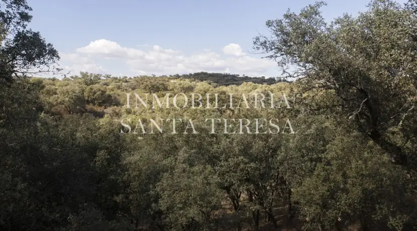 Finca en Talavera de la Reina