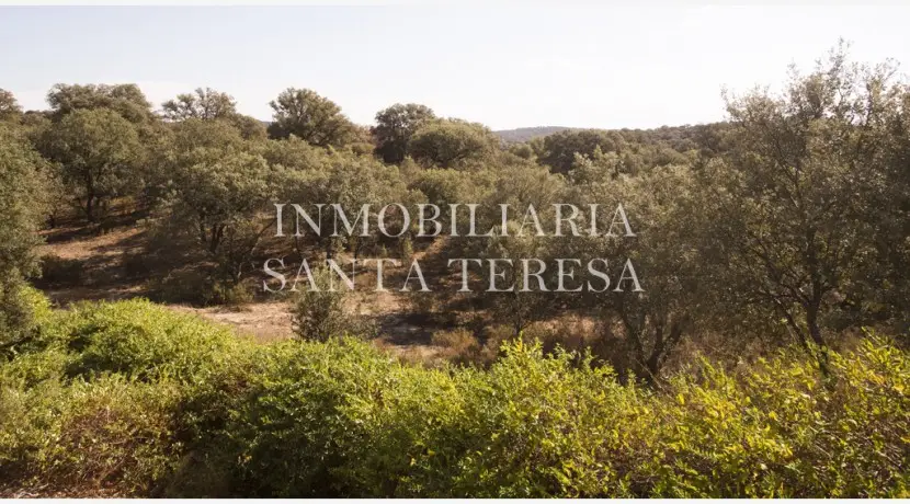 Finca en Talavera de la Reina